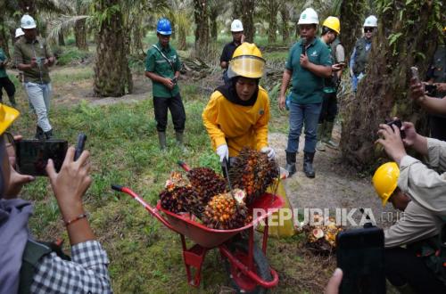 Customs Supports Palm Oil Product Exports Through Bonded Zone Facilities