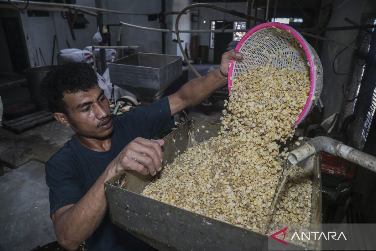 "Tempe" potential to become a flagship product in the US market