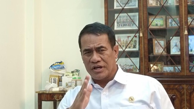 Amran Admits Premium Rice Scarcity in Market, Explains the Cause
