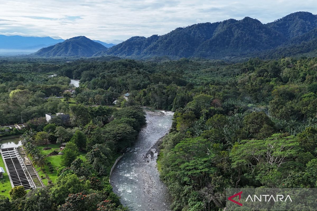 Turning nature into Indonesia's next economic advantage