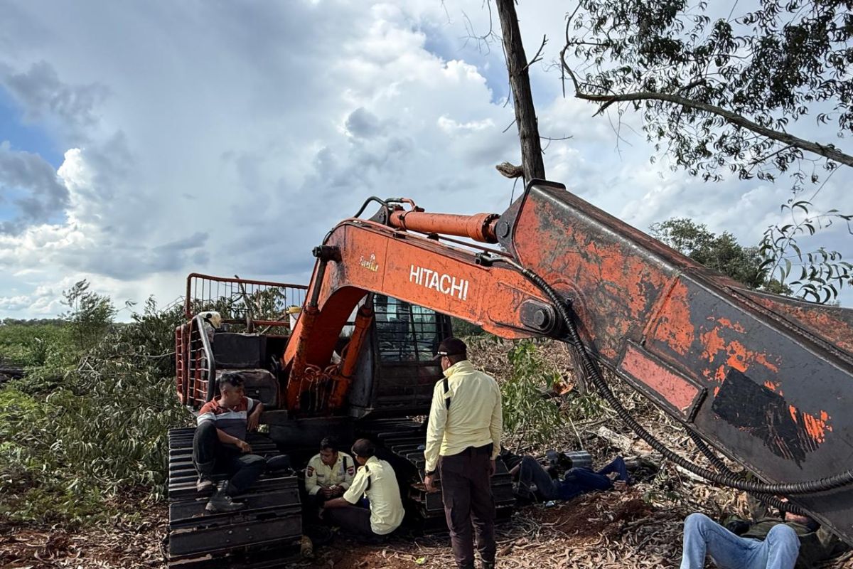 Bengkalis Police Name Suspect in 20-Hectare Forest Encroachment Case