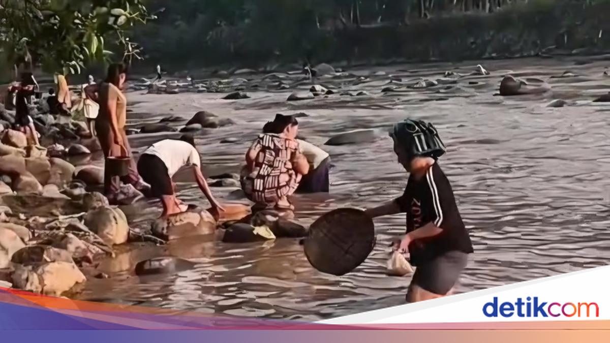 Viral Video Shows Pollution in Cikaniki River, Bogor; Police and Local Government Launch Investigation