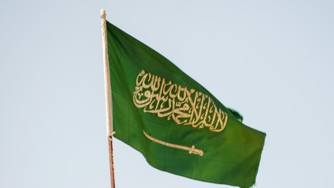 Saudi Arabia Forms New 14-Nation Defence Alliance: What is the Objective?