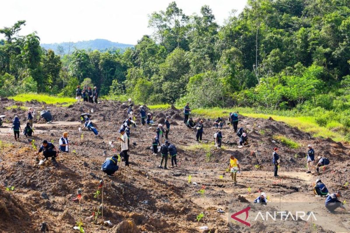 Five million trees planted in Nusantara restoration efforts, OIKN says