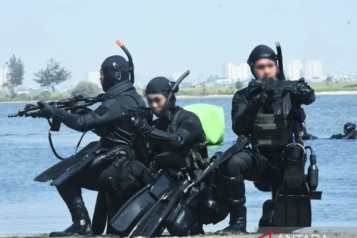 Indonesian Navy Marines Conduct Combat Swimming Drills to Enhance Operational Capabilities
