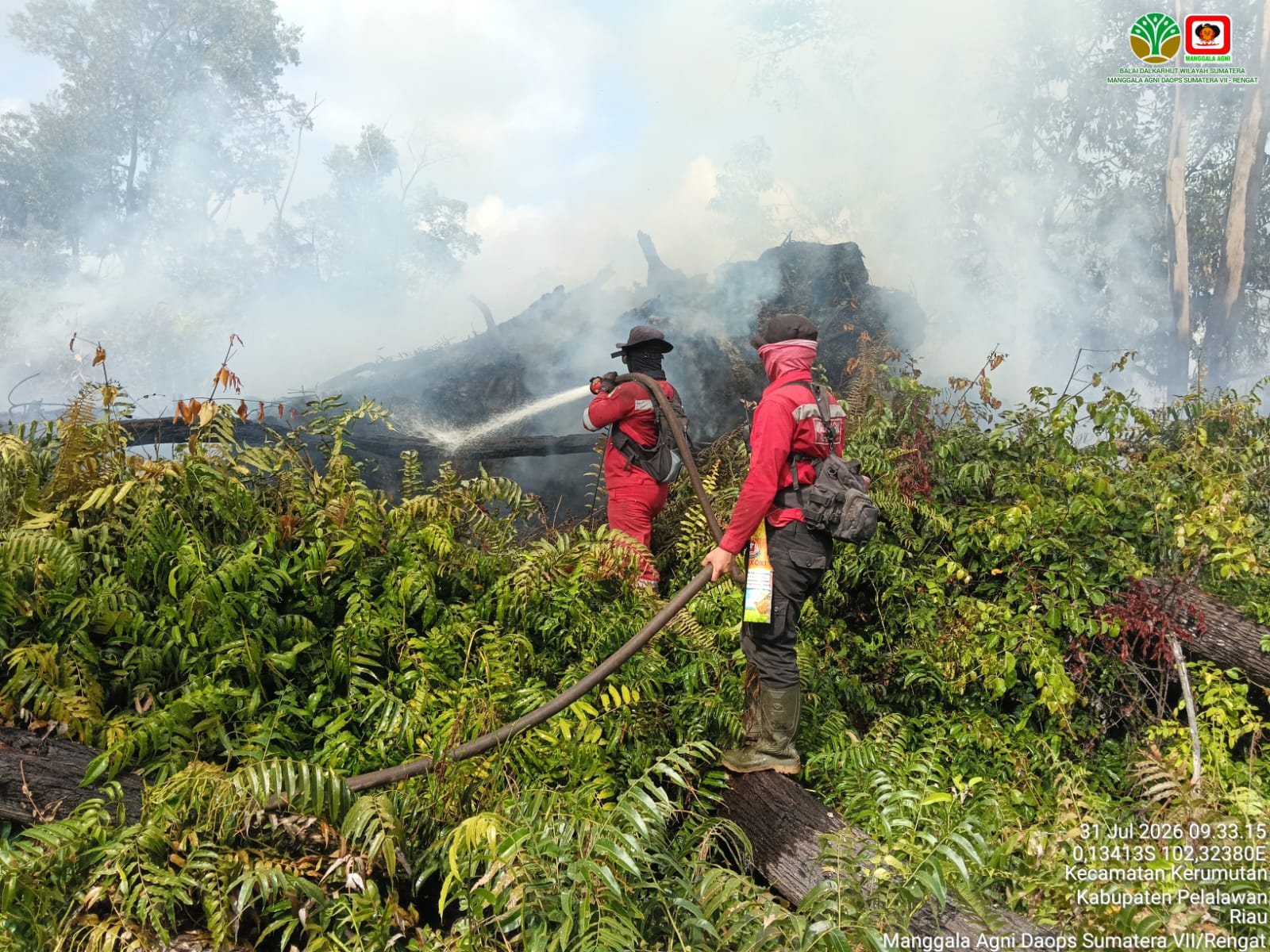 Forest Fires Hit Two Locations in Pelalawan, Kerumutan Fire Spreading Across 10 Hectares