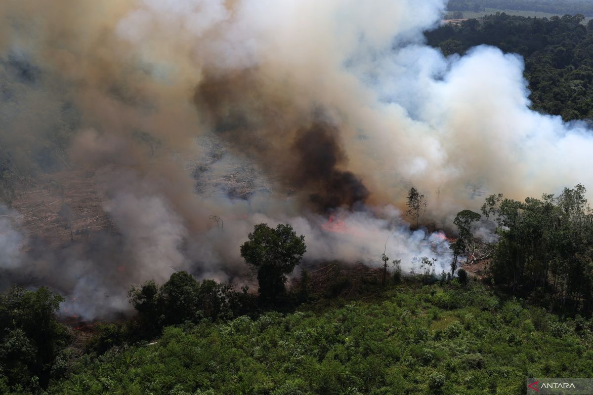 Forest and Peatland Fires in West Kalimantan