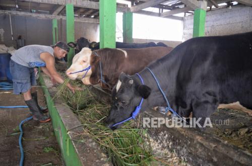 Biogas Holds Potential to Drive Renewable Energy Utilisation in Rural Areas