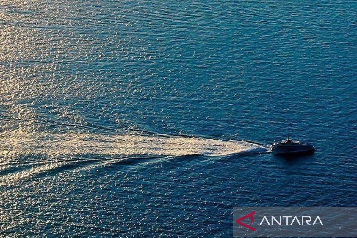 US respects ASEAN's handling on South China Sea: Ambassador