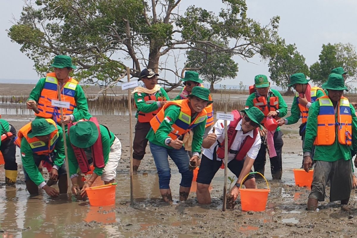 South Sumatra Provincial Government Utilises Mangrove Working Groups to Preserve Coastal Areas