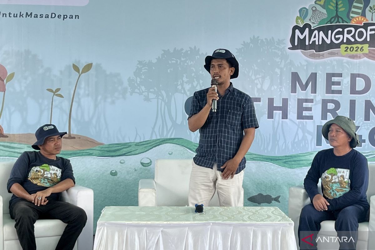 "Silvofishery" pattern increases interest of farmers in mangrove rehabilitation