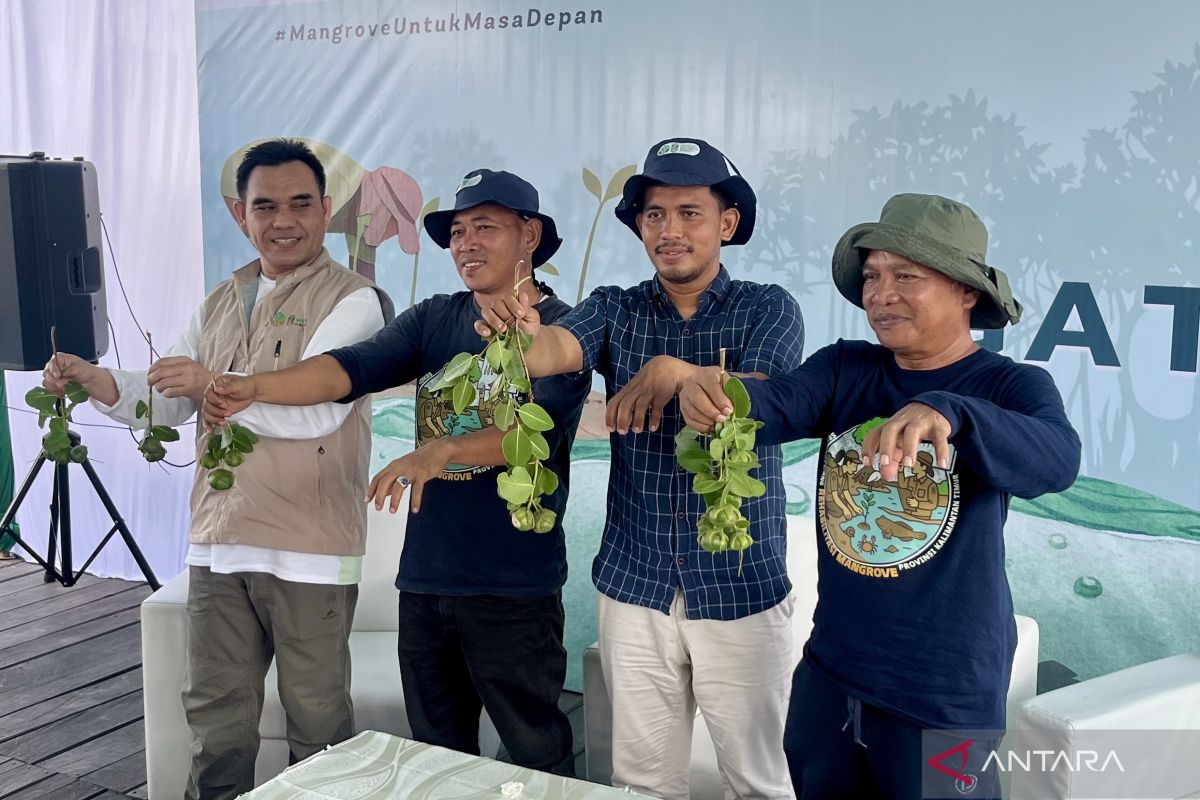Sepatin Fish Farmers Encouraged to Plant Mangroves to Restore Pond Productivity