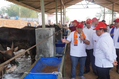 Rp1 Trillion Investment: Ciangir Livestock Area Construction to Begin Late 2026
