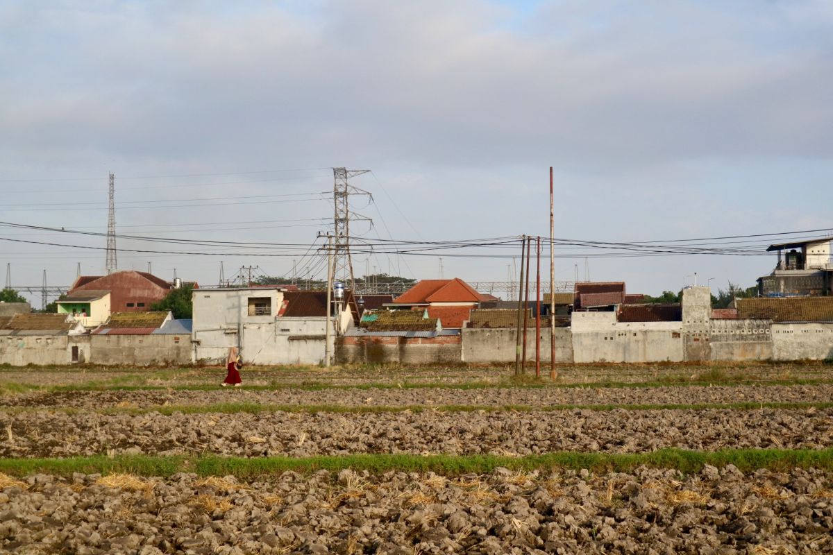 BMKG reports seven regions in West Nusa Tenggara under drought alert