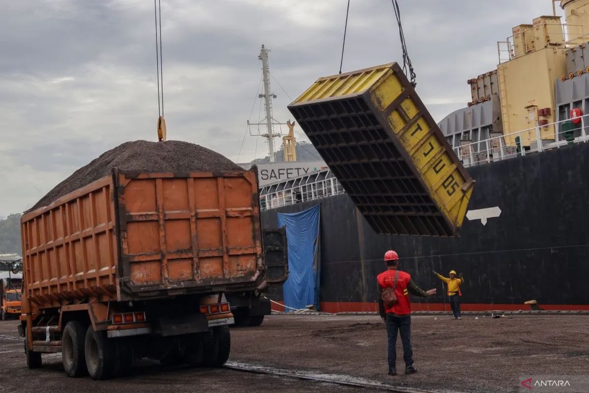 Ministry of Trade: August CPO Reference Price Drops Due to Sluggish Demand