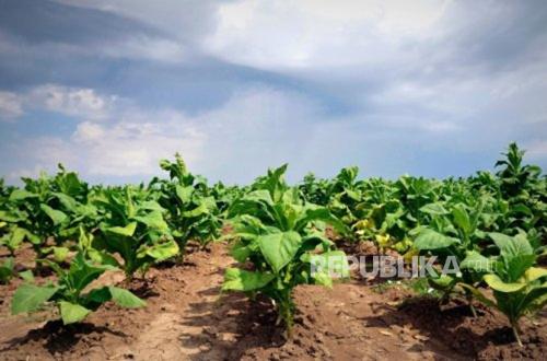 Syngenta Promotes Biostimulant Technology to Combat Climate Change Impacts