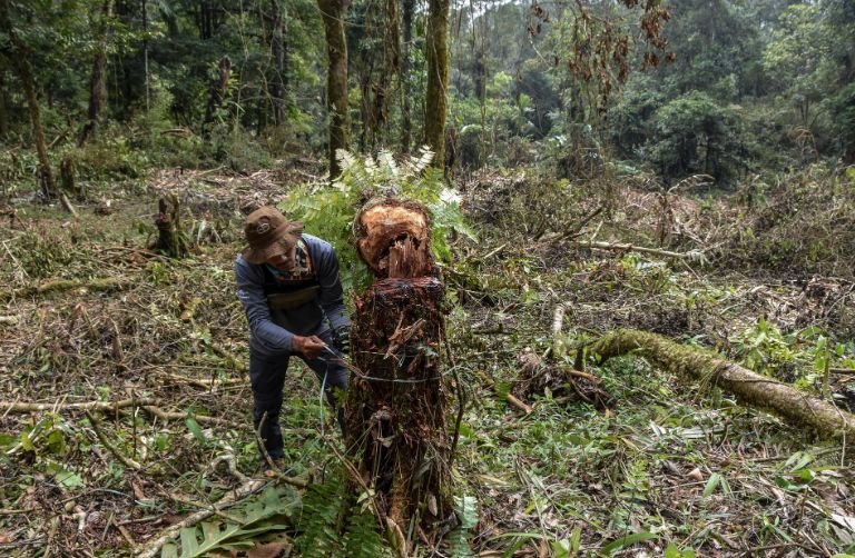 Illegal Logging Suspect Handed Over to Solok District Attorney, Facing Five Years in Prison