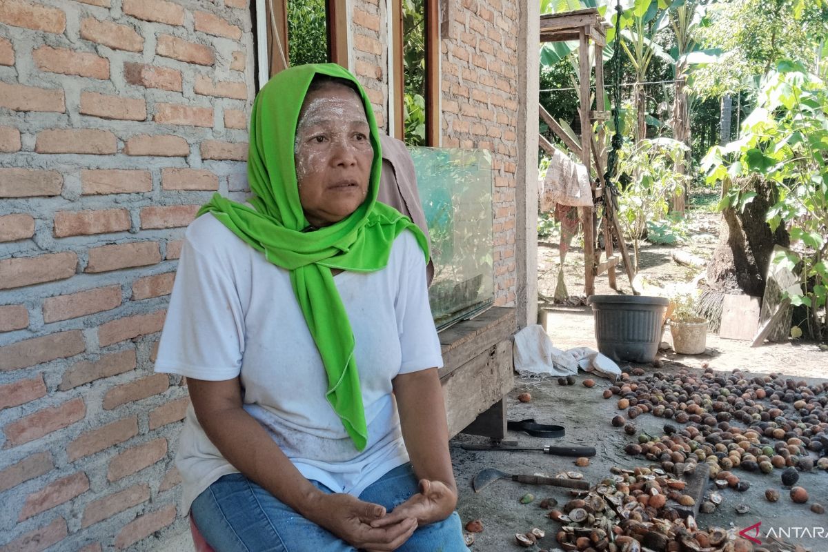 Sowing Health in the Homeland through BPJS Kesehatan