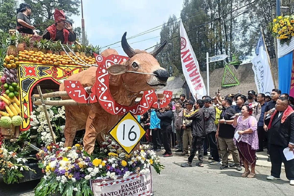 Flower and Fruit Festival Showcases Karo's Potential