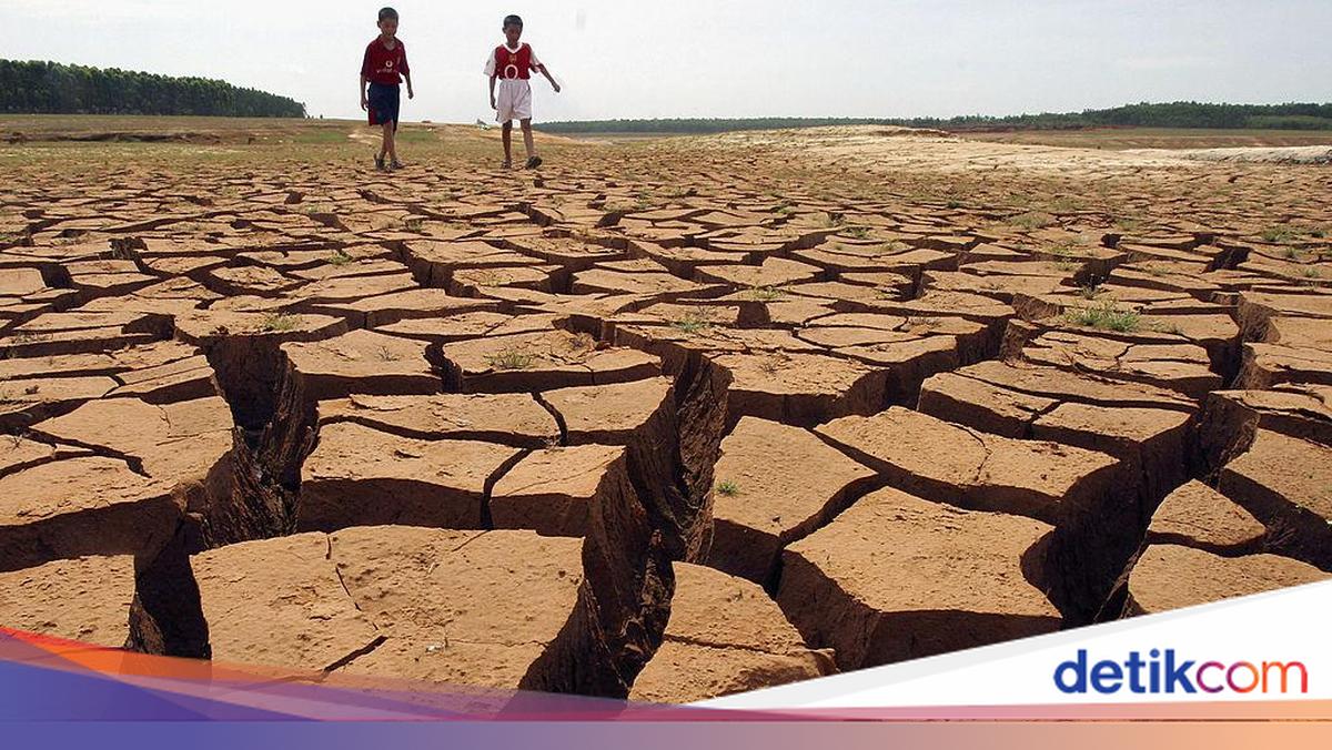 Drought-Affected Residents in Bogor Increase to 140,000