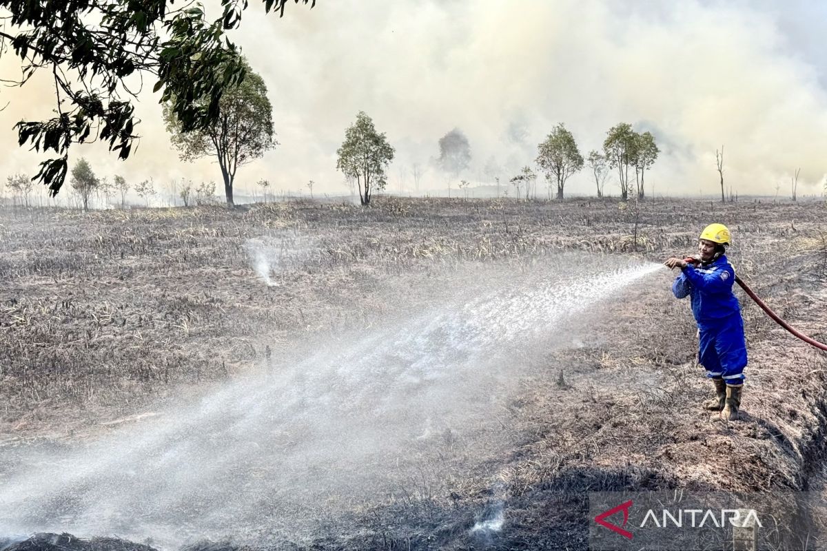 South Kalimantan considers second weather modification operation to anticipate forest fires during dry season