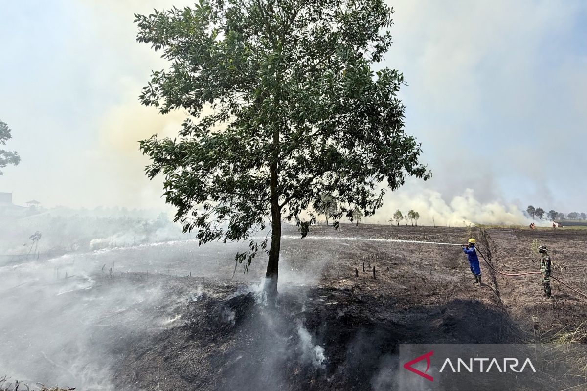 South Kalimantan Disaster Management Agency Implements New SOP to Accelerate Forest and Land Fire Response