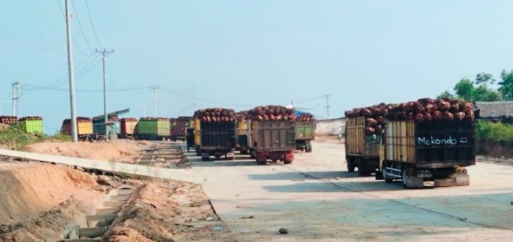 PALI Regency Government to Halt PT Aburahmi Palm Oil Mill Operations Due to Missing Permits