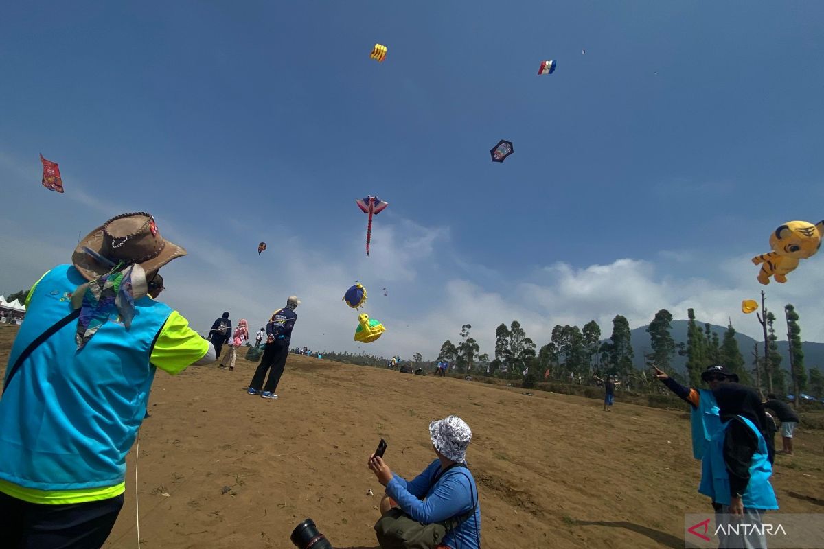West Java Legislator Urges Kite Festival to Become Annual Event