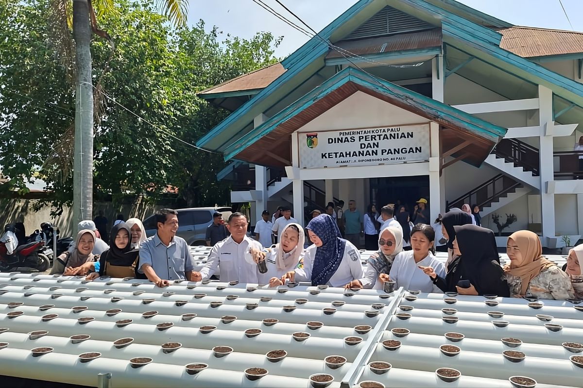 Palu City Government develops hydroganic cultivation to optimise limited land