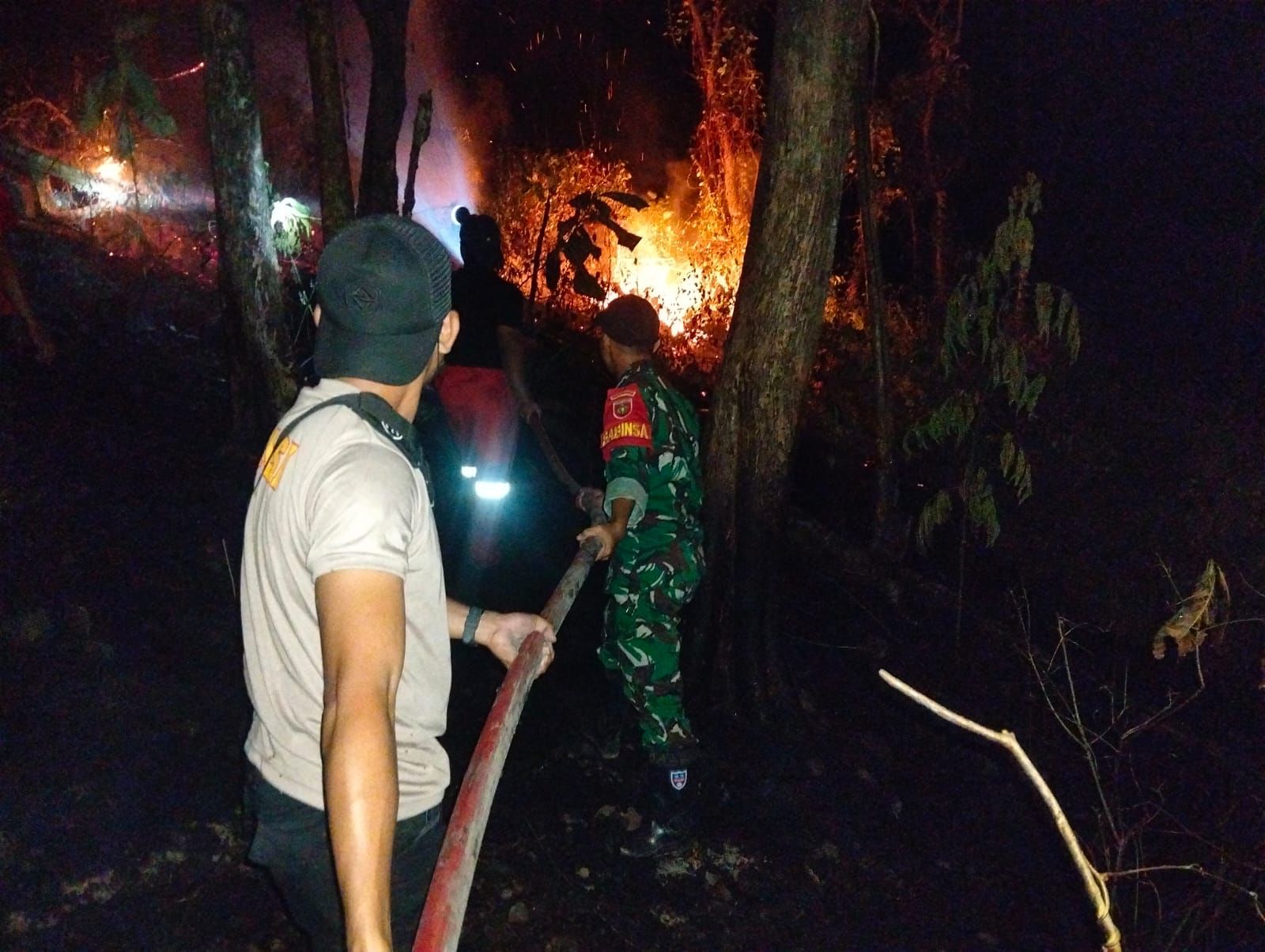 BNPB Issues Early Warning for Forest Fires as Blazes Erupt in Pinrang