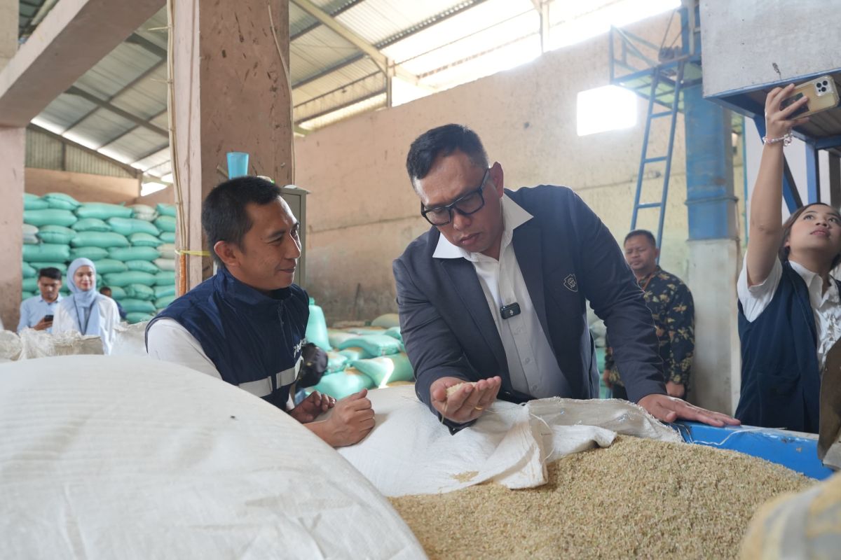 Bulog Urges Rice Milling Partners to Improve Processing Standards