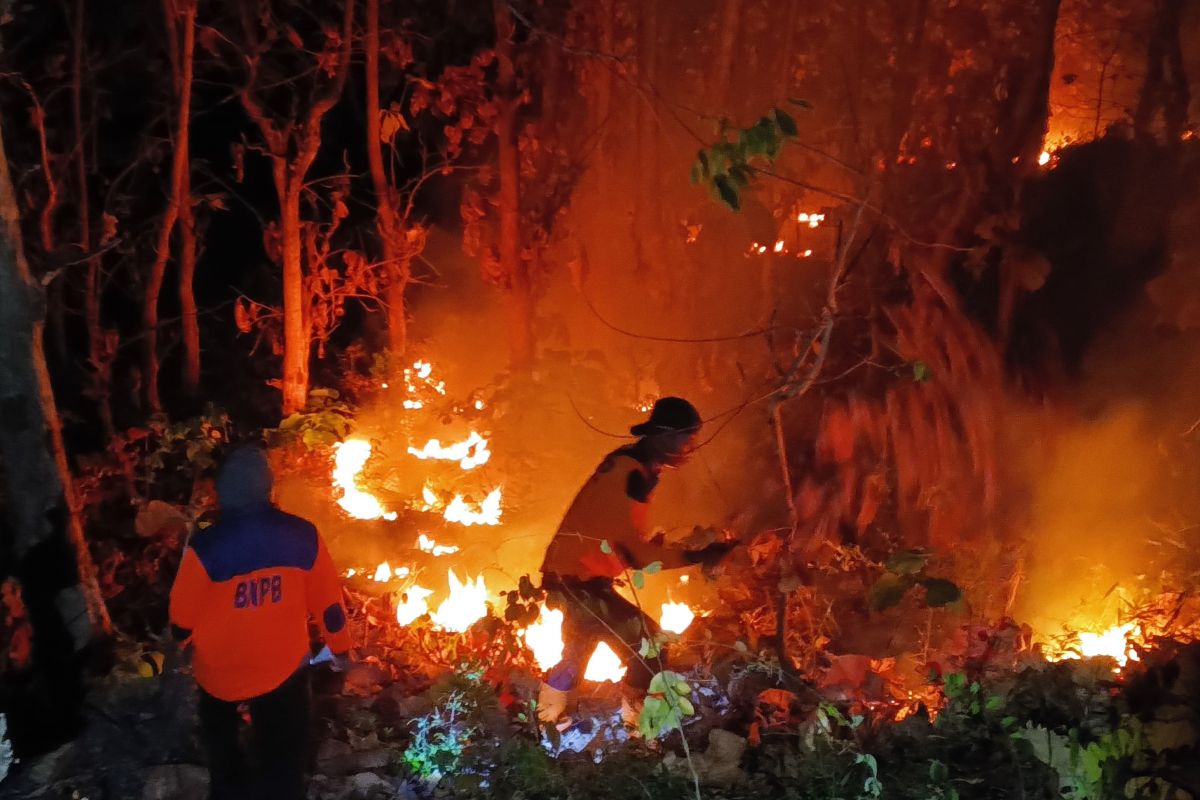 Situbondo-Bondowoso Border Forest Fire Reaches 4 Hectares
