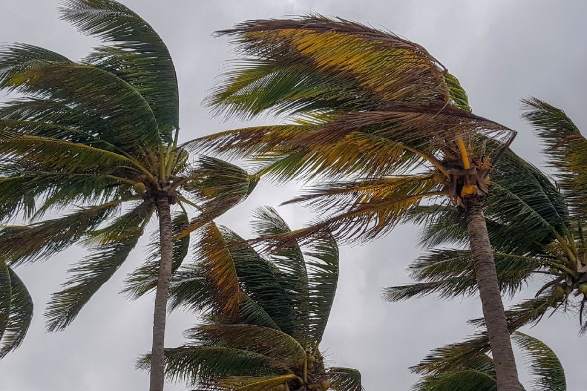 BMKG: Tropical Cyclone Seed 94W Triggers Heavy Rain in Sumatra