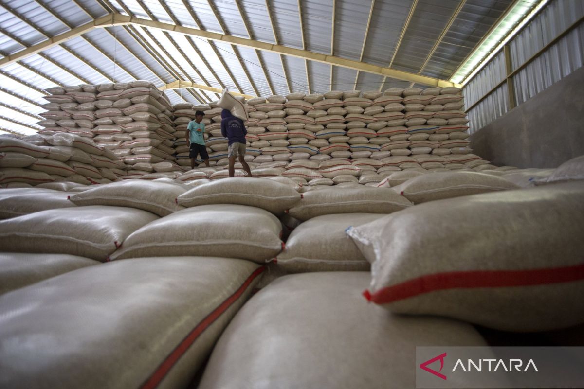 Indonesia's Food Task Force names 39 suspects in rice fraud crackdown