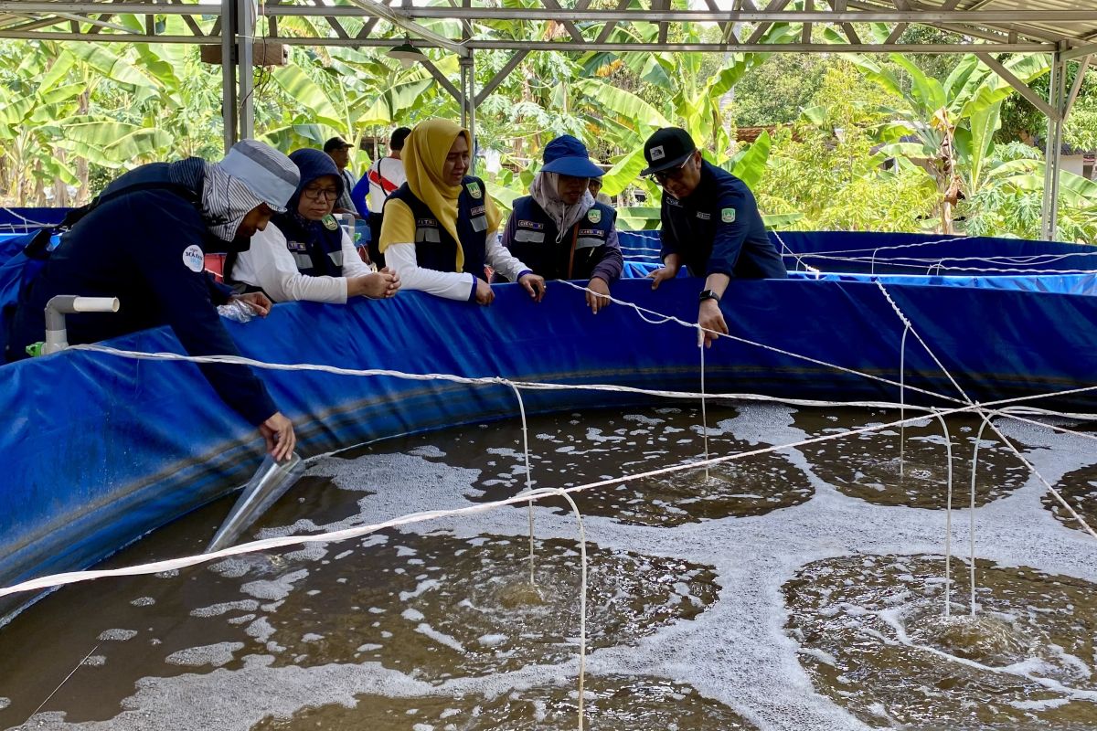 KKP Develops Thematic Fish Farming to Supply Free Nutritious Meal Programme
