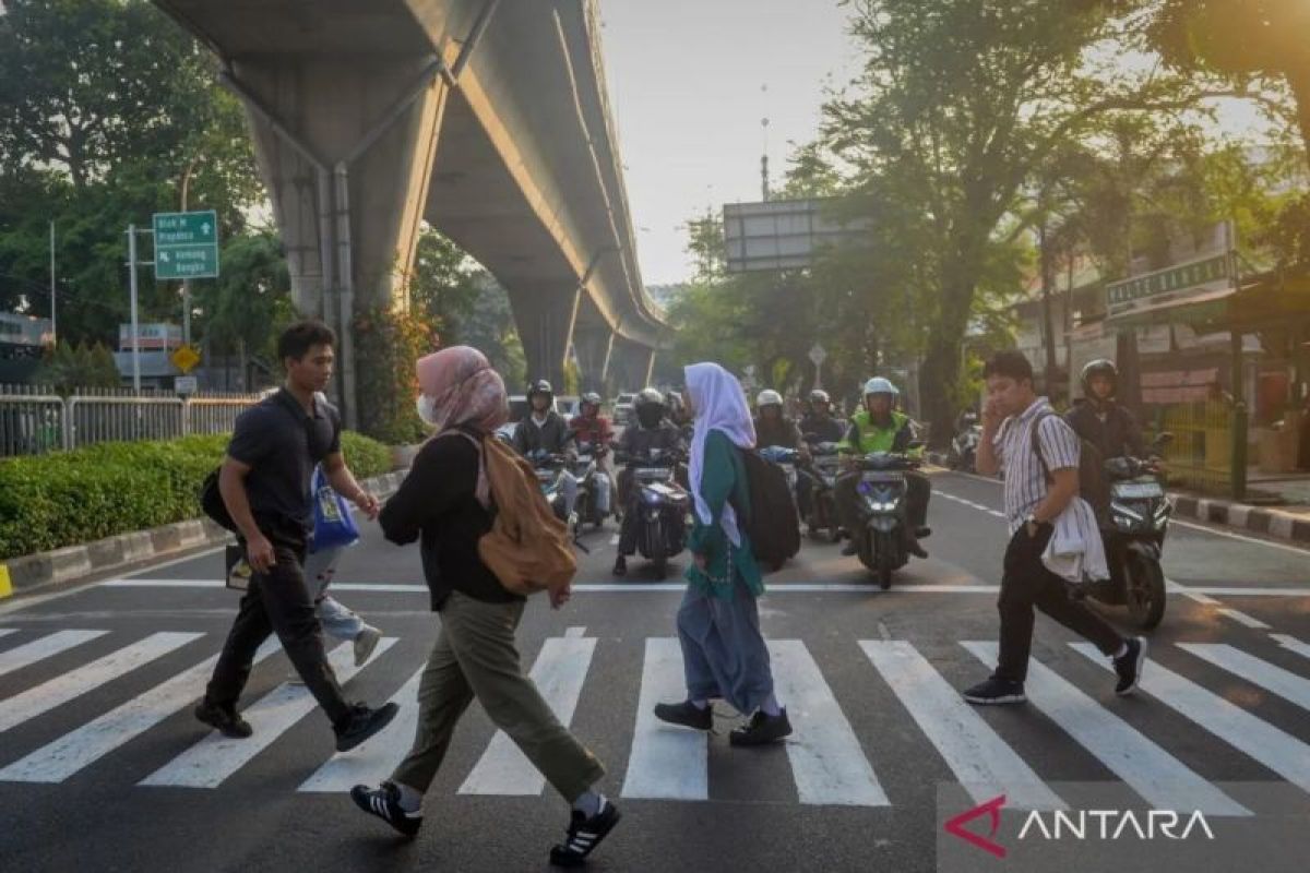 Pedestrian coalition deems zebra crossings more urgent than building footbridges