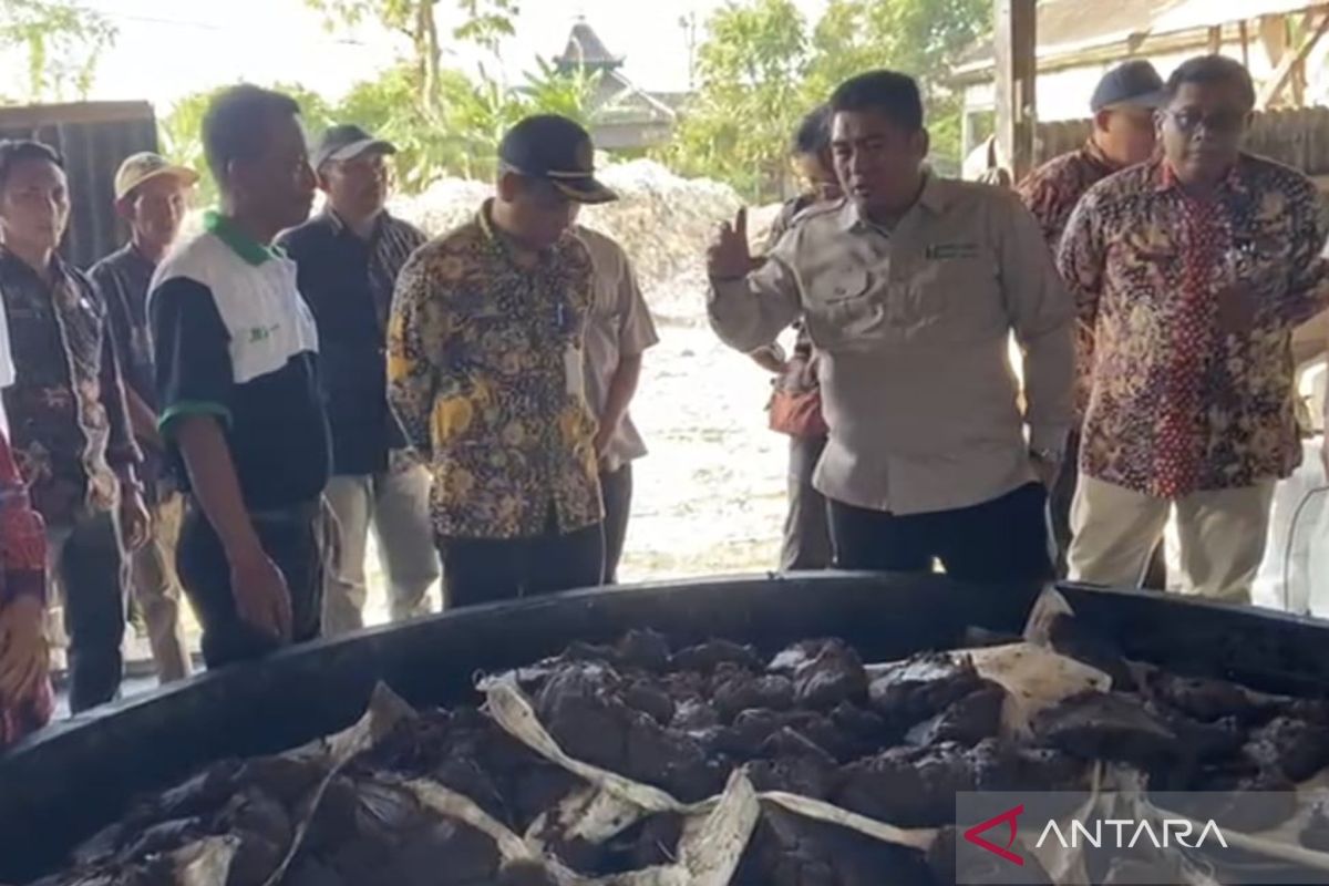 Agriculture Ministry Encourages Development of 'Gula Tumbu' as Alternative Sugarcane Product