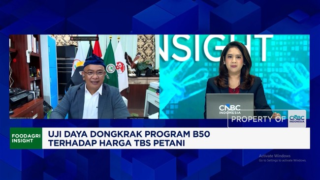 Palm Oil Farmers Report to Prabowo: B50 Has Not Boosted Fresh Fruit Bunch Prices