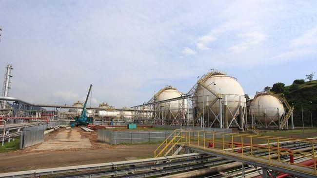 Prajogo's Holding Company Barito Pacific Reports 64% Profit Plunge