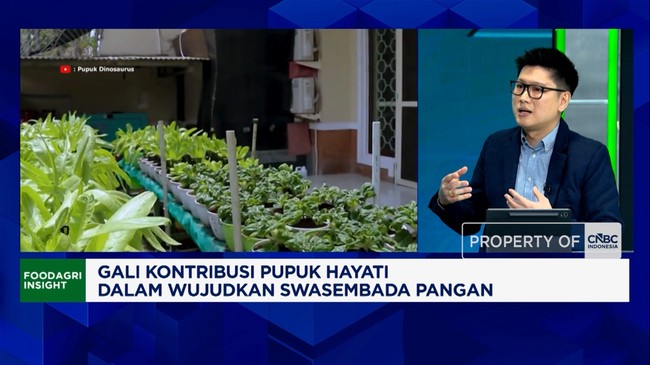 Video: Not Just for Rice, Biofertilisers Boost Palm Oil Production by 30%