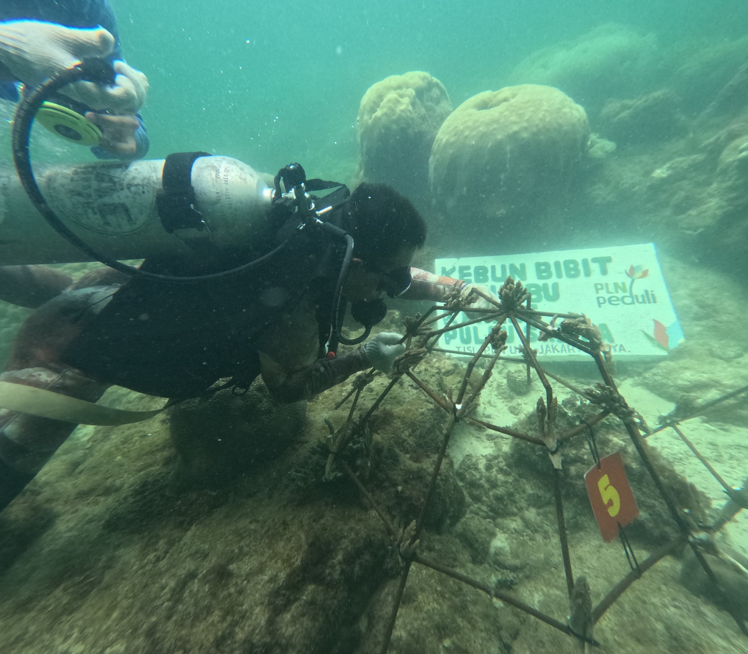 PLN's Sabira Island Conservation Programme Wins National Award