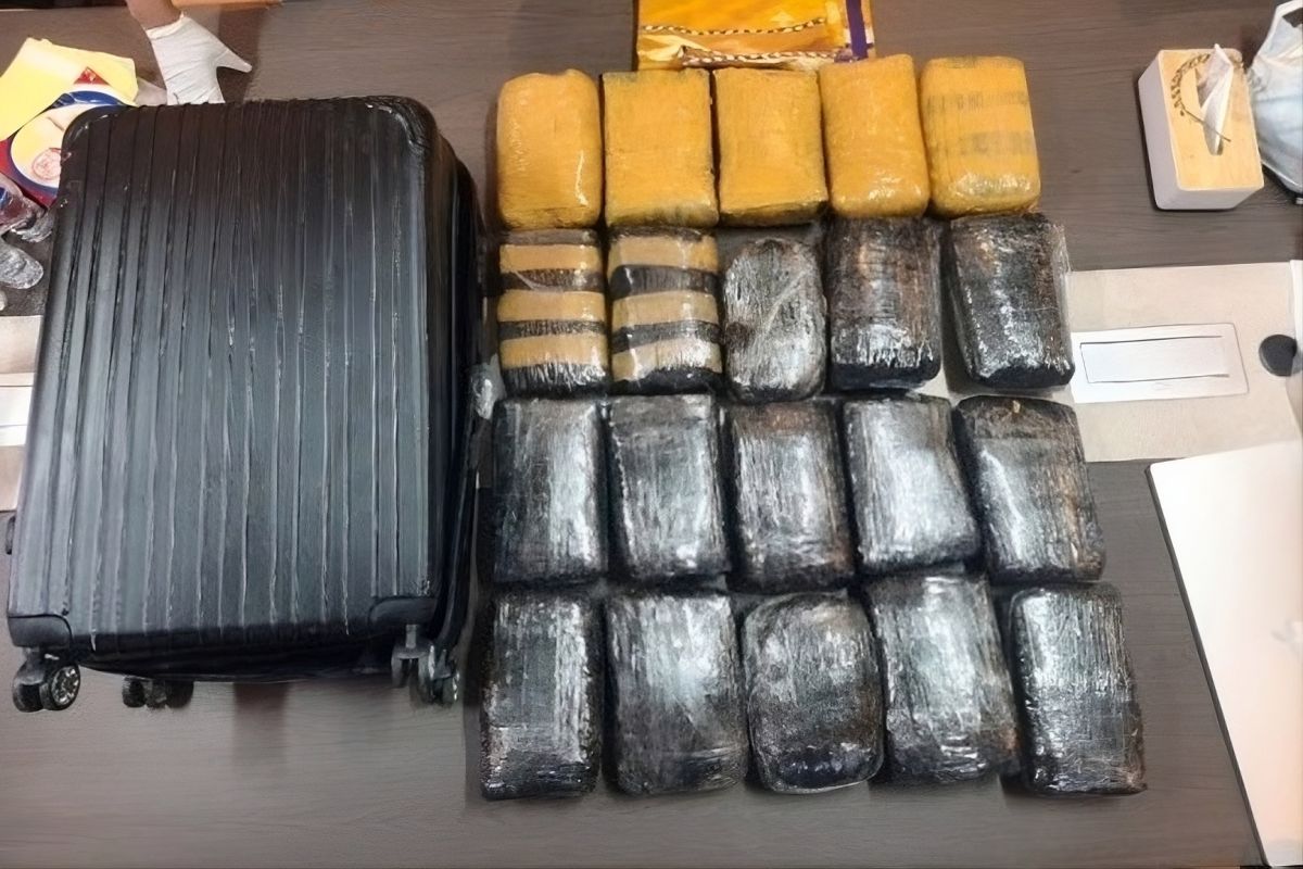 Bareskrim Foils Smuggling of 20kg of Cannabis to North Jakarta's 'Drug Village'
