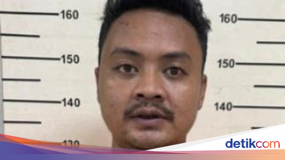 Bareskrim Foils 20 kg Marijuana Shipment to Kampung Bahari, Courier Surrenders