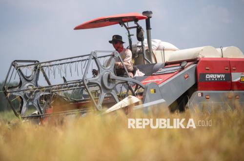 Farmers' Terms of Trade Strengthen, Driven by Lower Production Costs