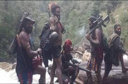 Papuan Separatists Declare War, Claim Executed Construction Workers Were Indonesian Intelligence Agents