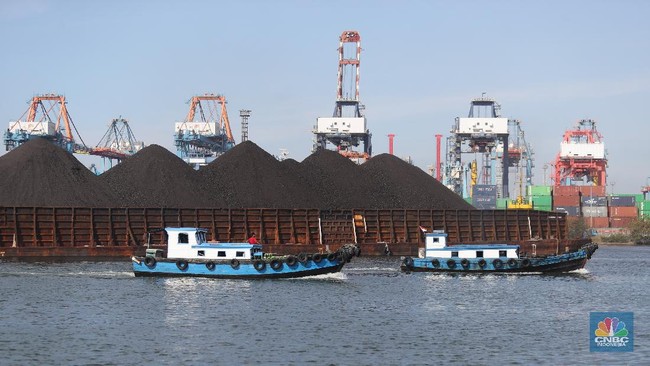 Indonesia's Coal Reference Price Mostly Rises in Early August 2026