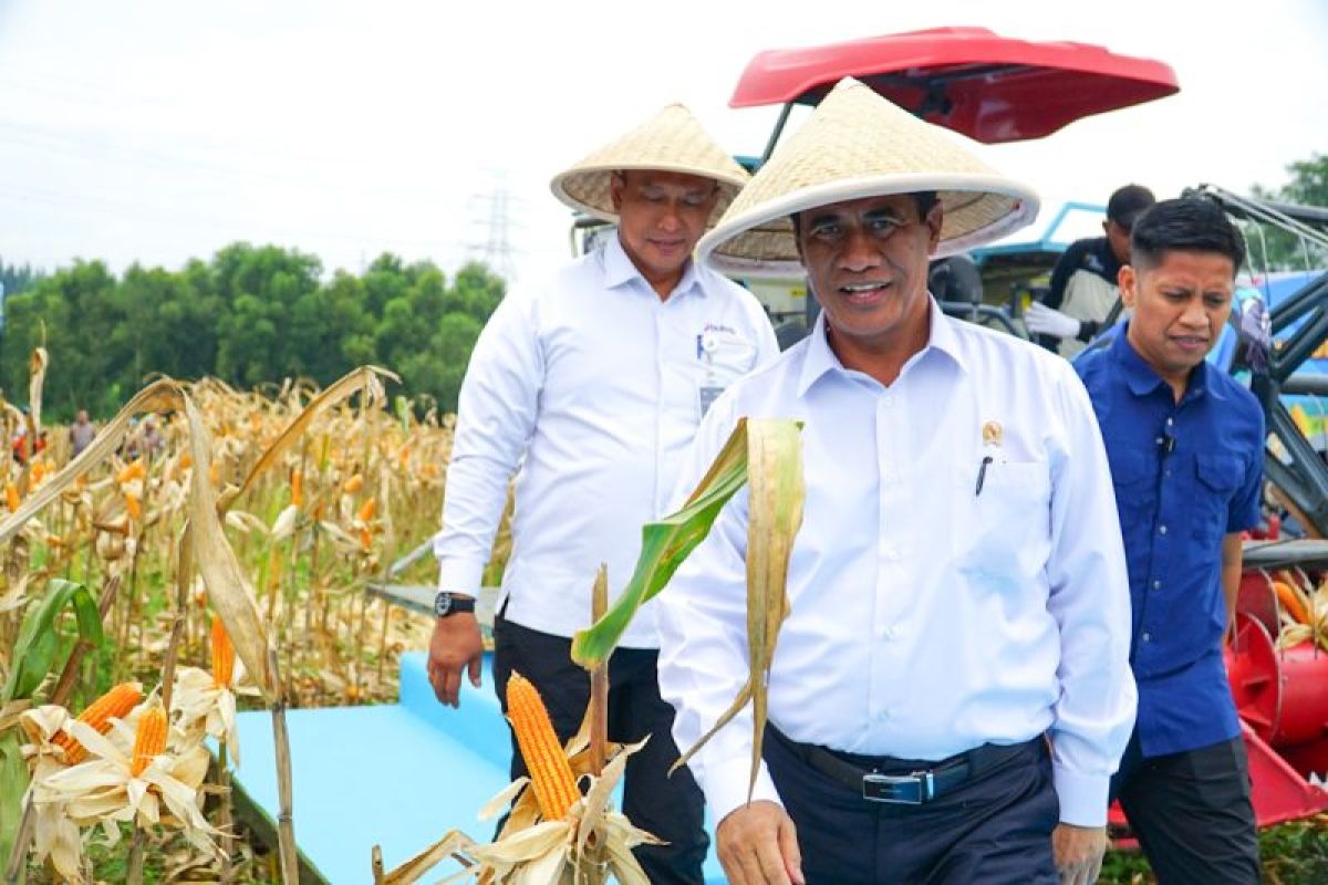 BPS Projects 1.07 Percent Decline in Corn Production for January-September 2026