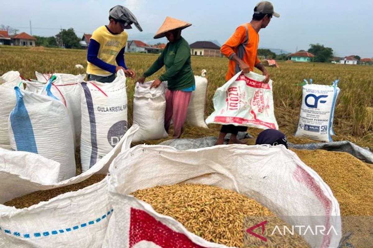 Minister: Farmers' Terms of Trade hit 127.84 in July 2026, signalling stronger welfare
