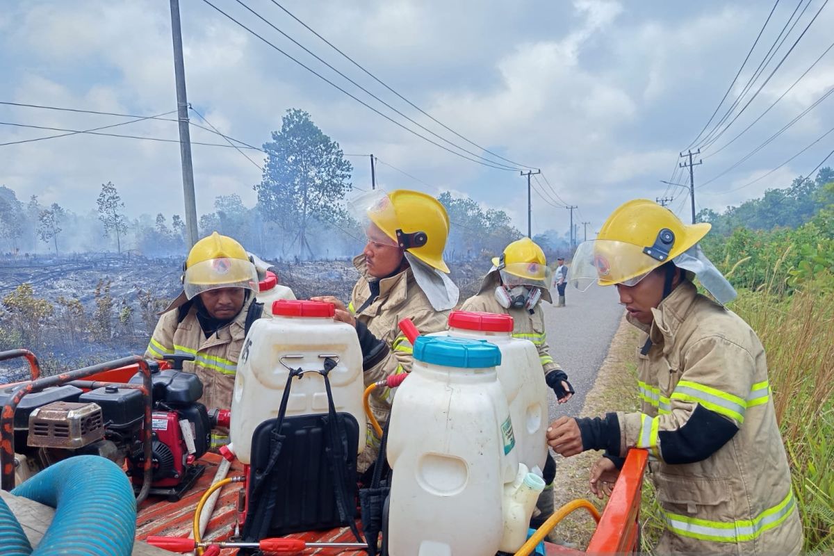 BNPB Coordinates Forest and Land Fire Suppression in East Belitung and West Bangka