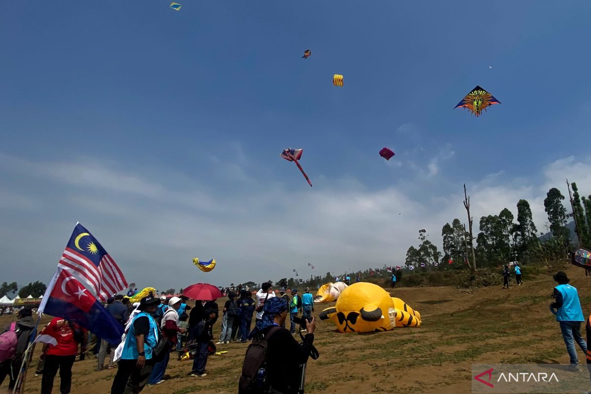 Nurturing International Friendship Through Kites